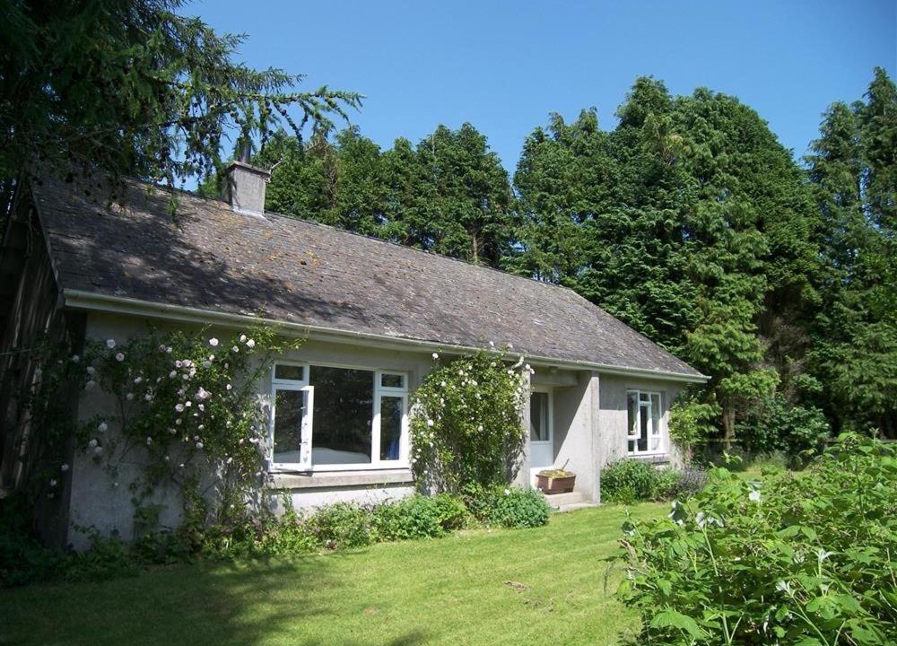 Photo of Others in Kirkcudbright