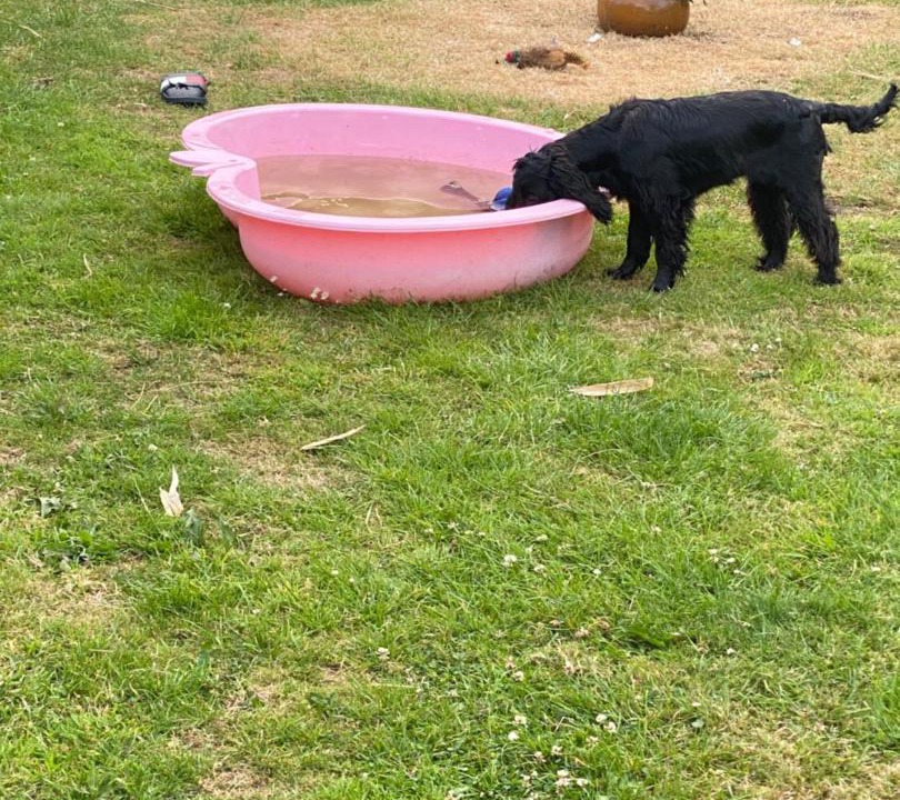 Photo of Others in Horton