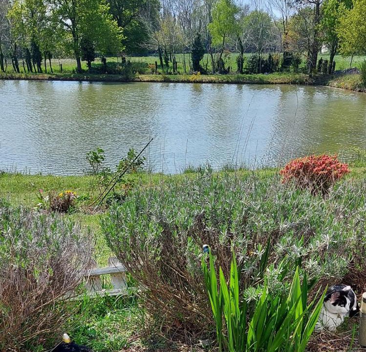 Photo of Outdoor in Missillac