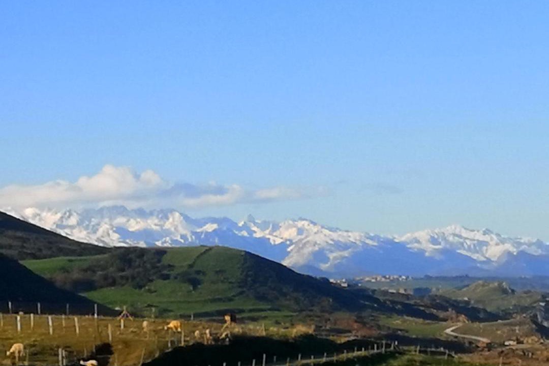 Photo of Outdoor in Ubiarco
