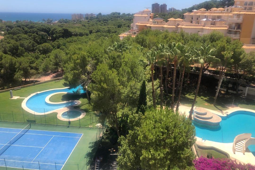Photo of Others in Dehesa de Campoamor