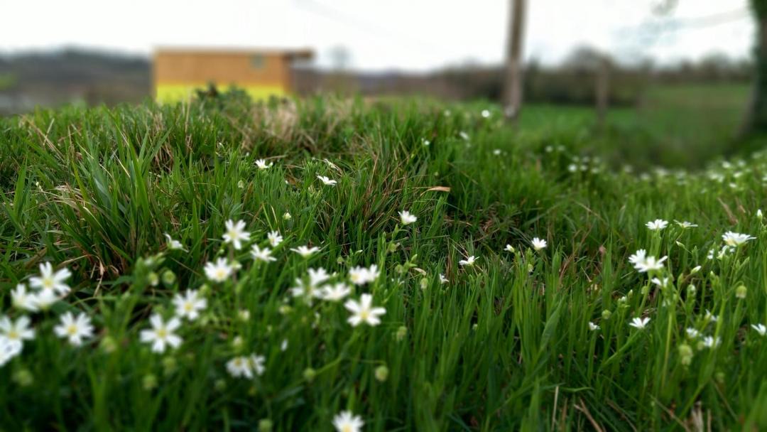 Photo of Others in Bassillon-Vauze