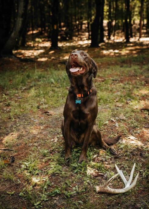 Photo of Others in Penn Yan