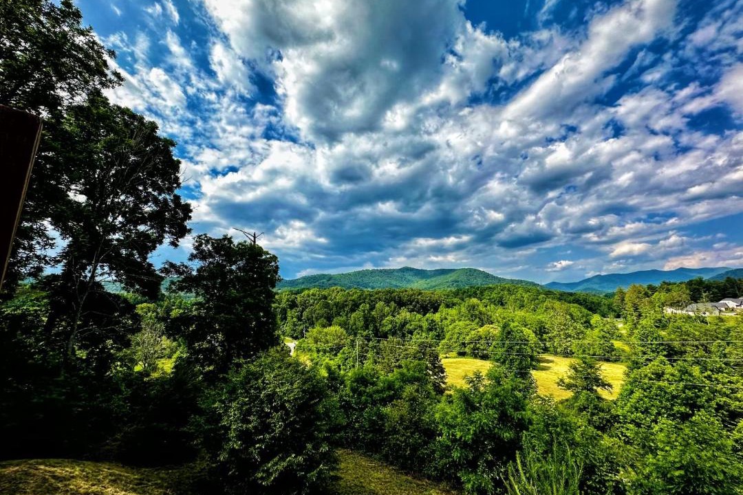 Photo of Others in Weaverville