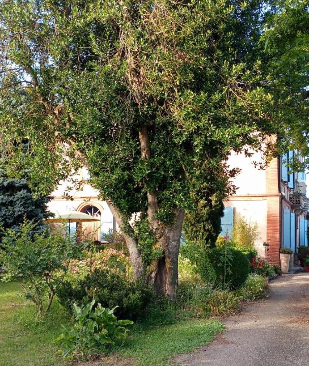Photo of Outdoor in L'Honor-de-Cos