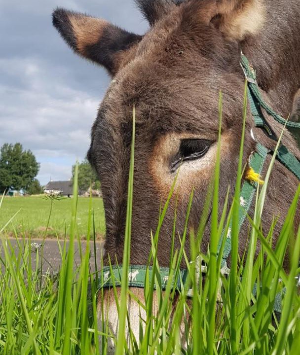 Photo of Others in Beyssenac