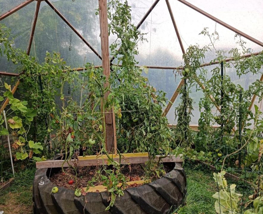 Photo of Others in La Capelle-les-Boulogne