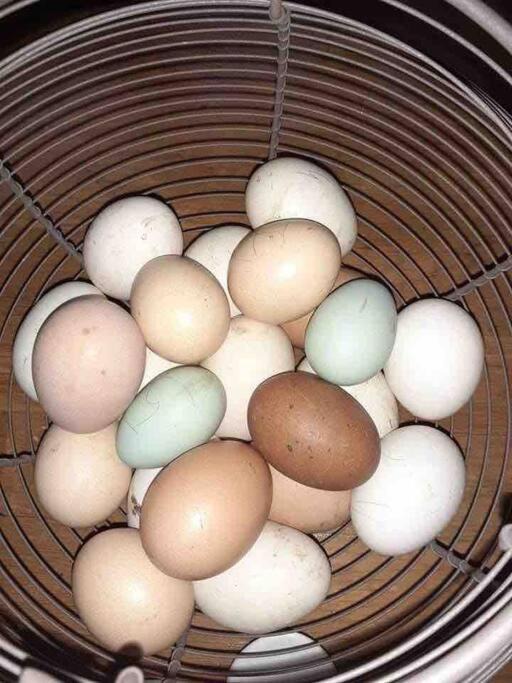 Photo of Livingroom in Marcillac-la-Croisille