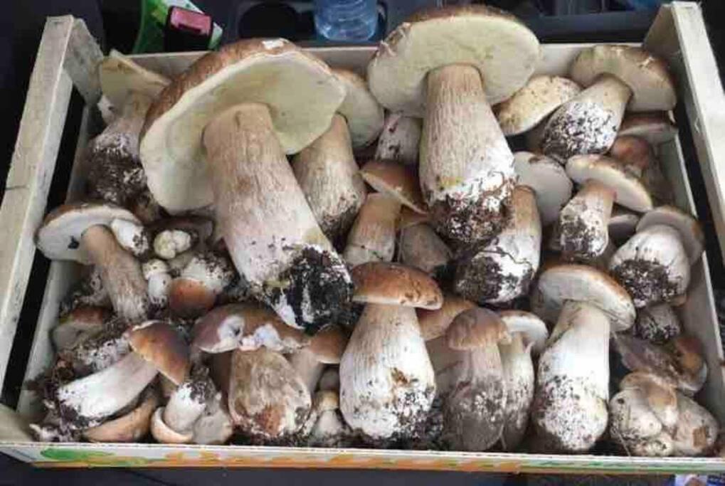 Photo of Others in Marcillac-la-Croisille