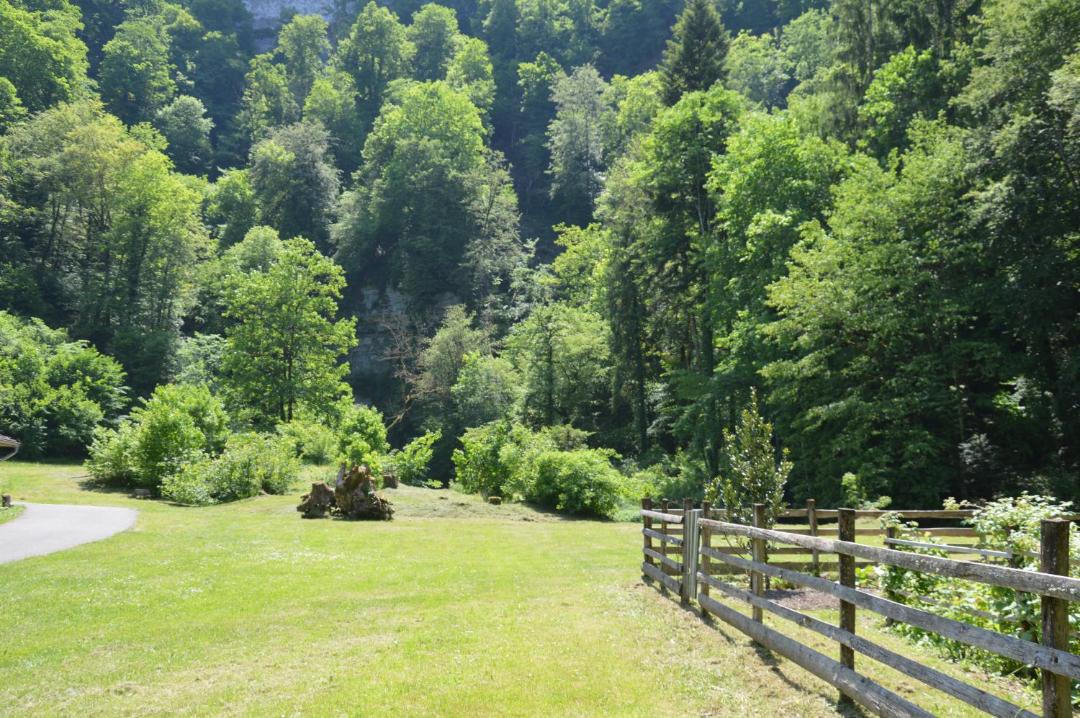 Photo of Others in Cusance