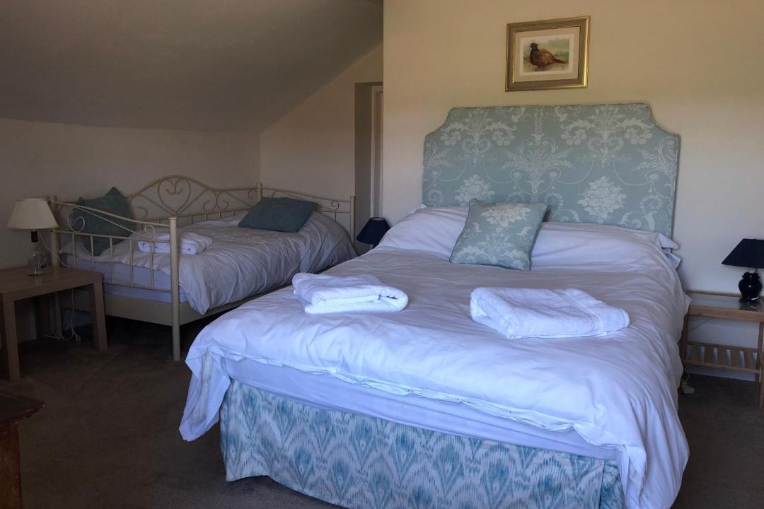 Photo of Others in Newbridge