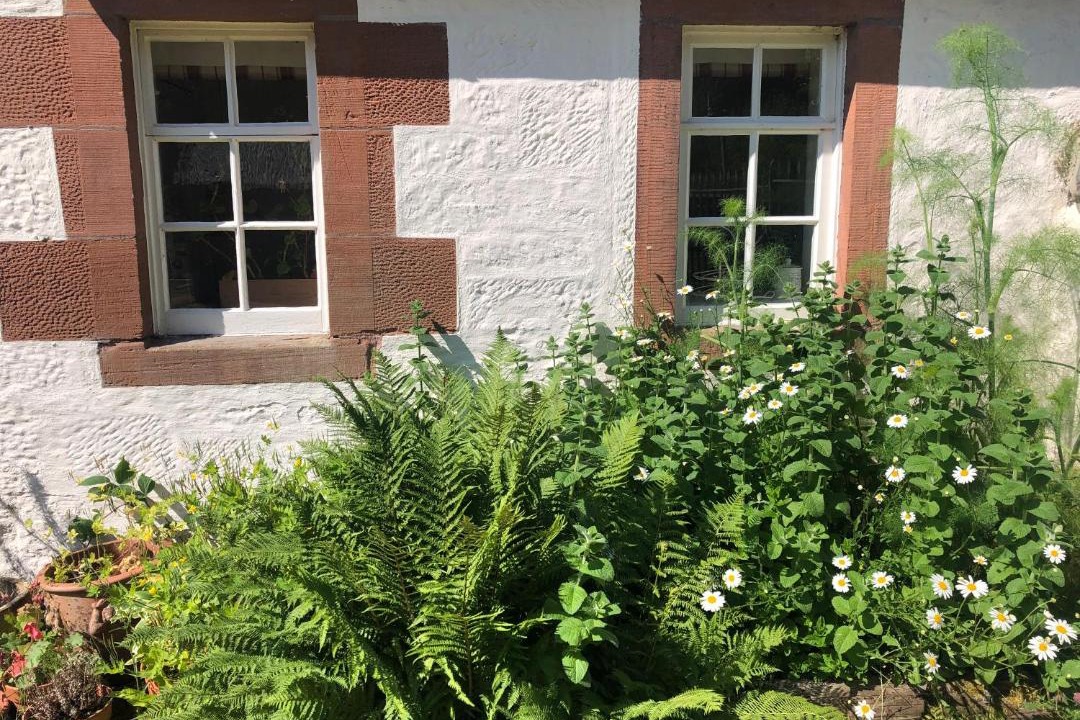 Photo of Others in Newbridge