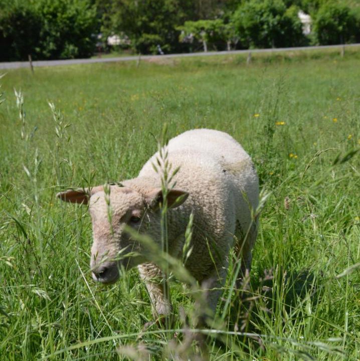 Photo of Others in Cusance