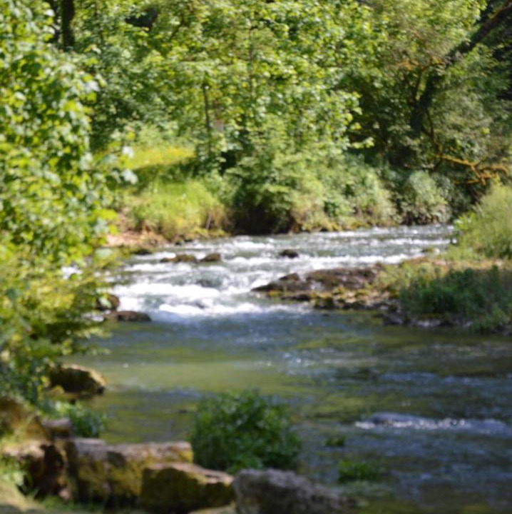 Photo of Others in Cusance