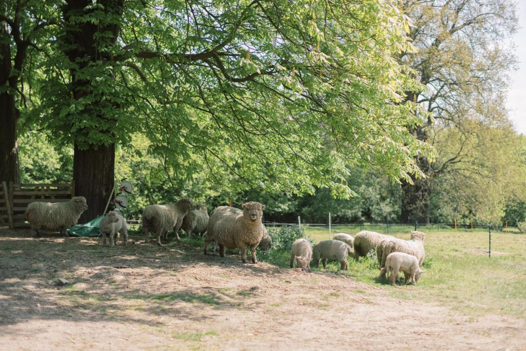 Photo of Others in Waltham Cross