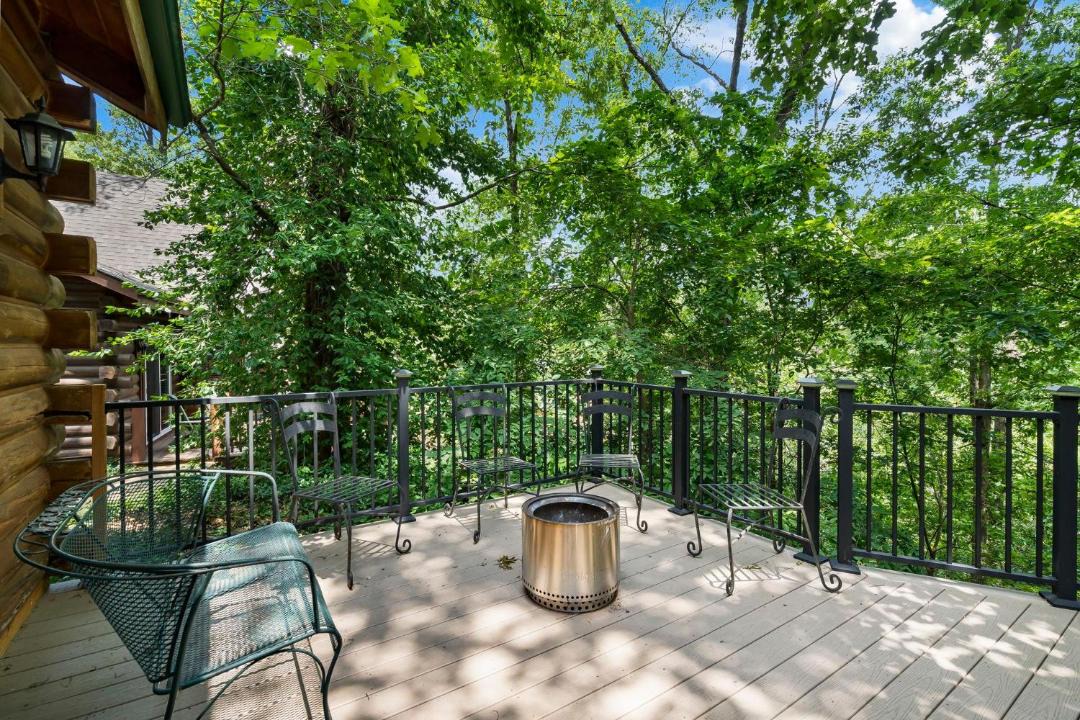 Photo of Others in Branson Cedars