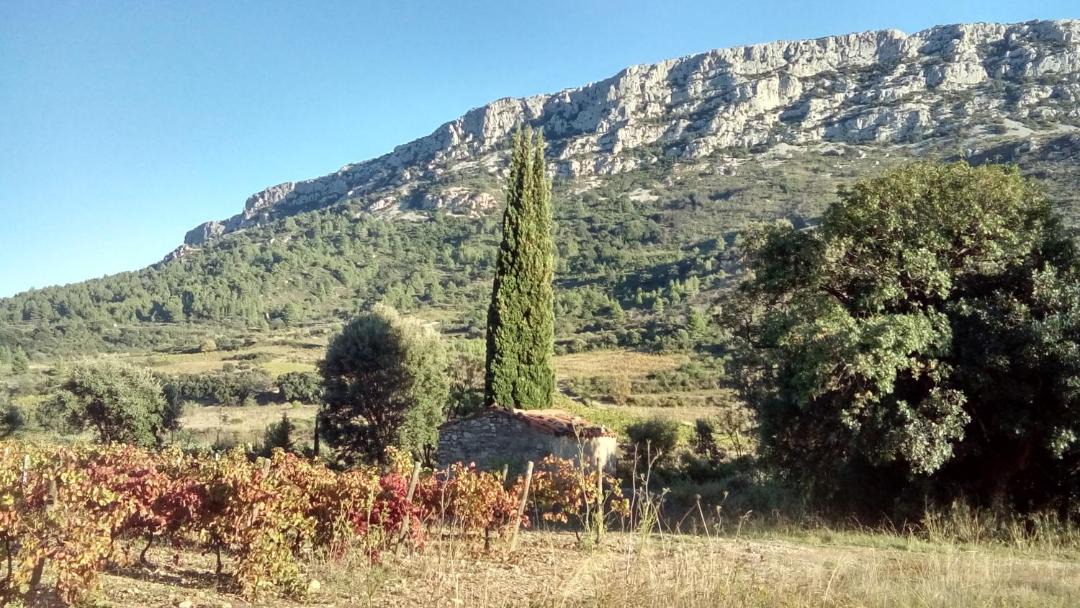 Photo of Others in Vingrau