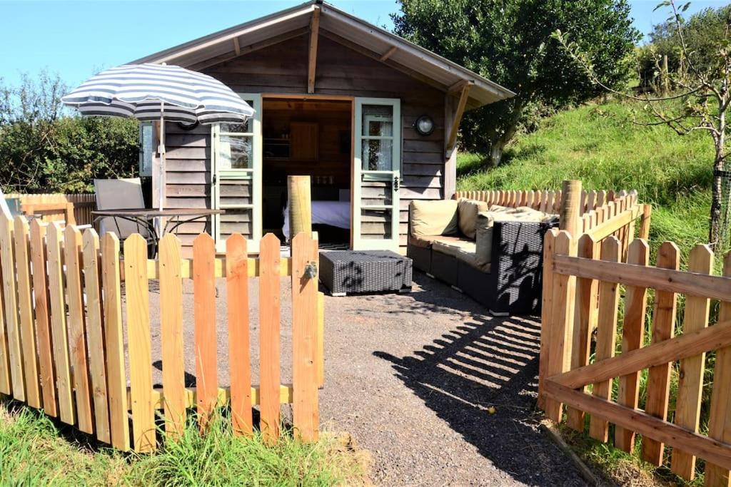 Photo of Others in Totnes