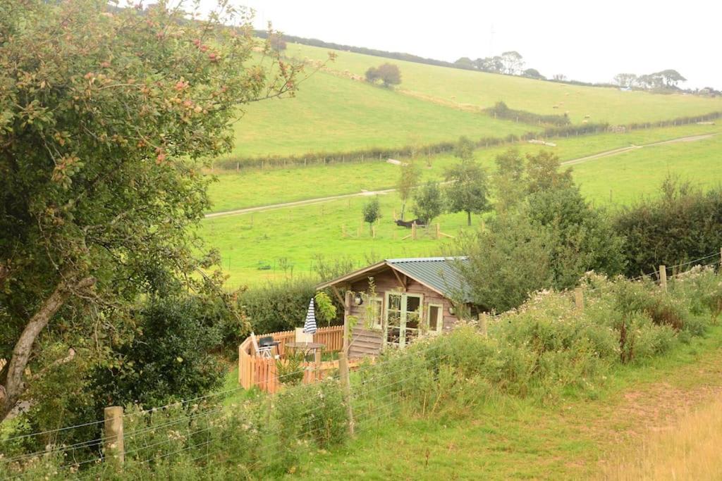 Photo of Others in Totnes