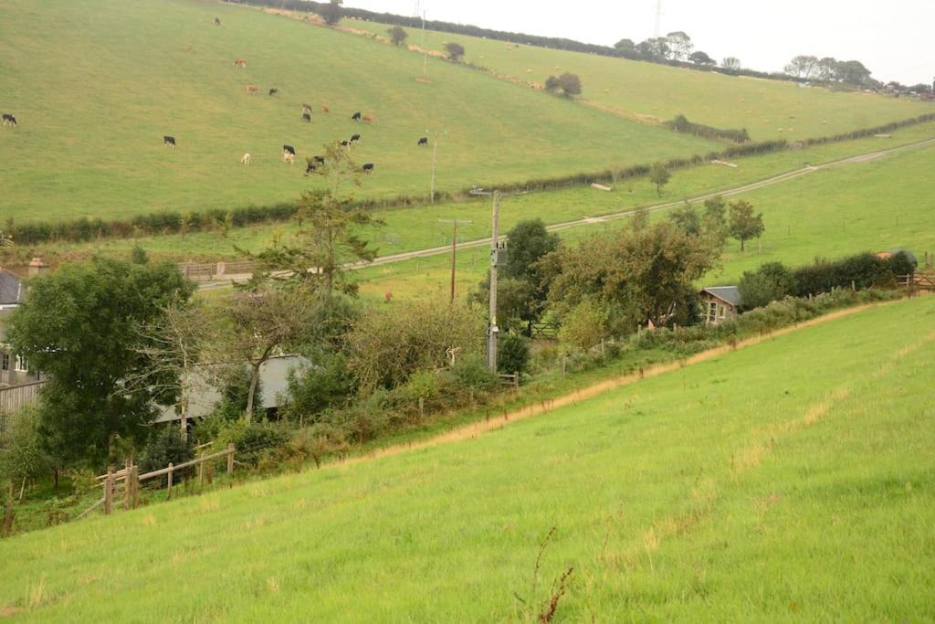 Photo of Others in Totnes