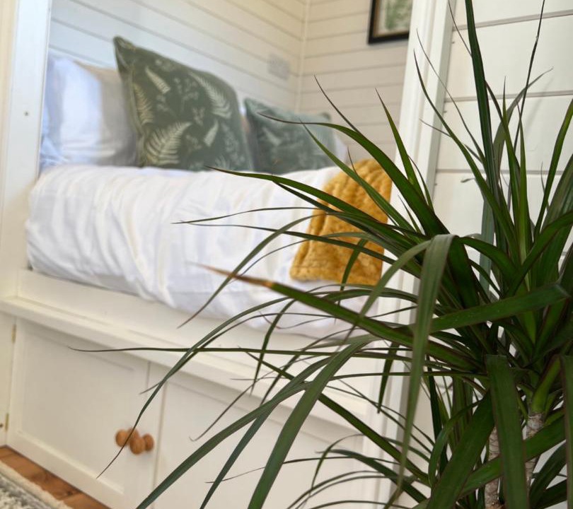 Photo of Others in Hooe