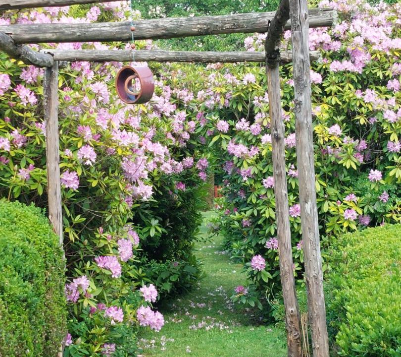 Photo of Outdoor in La Sauniere