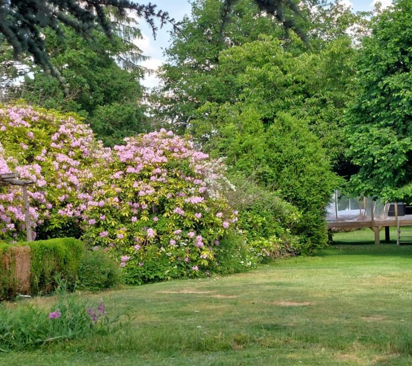 Photo of Others in La Sauniere