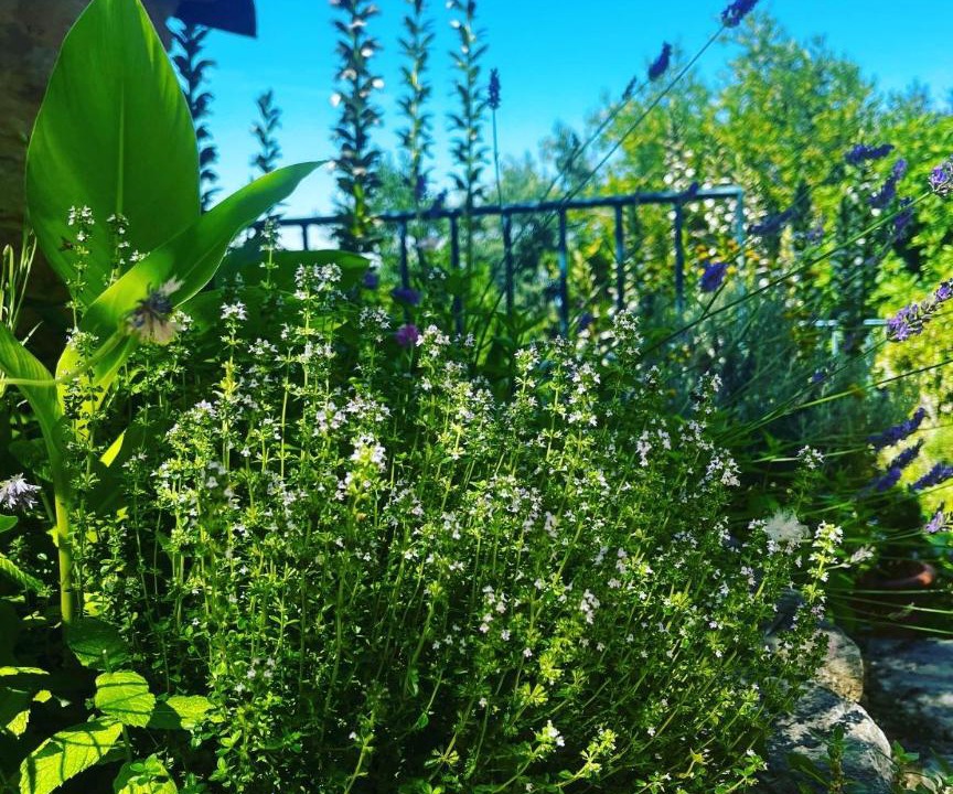 Photo of Others in Vezenobres