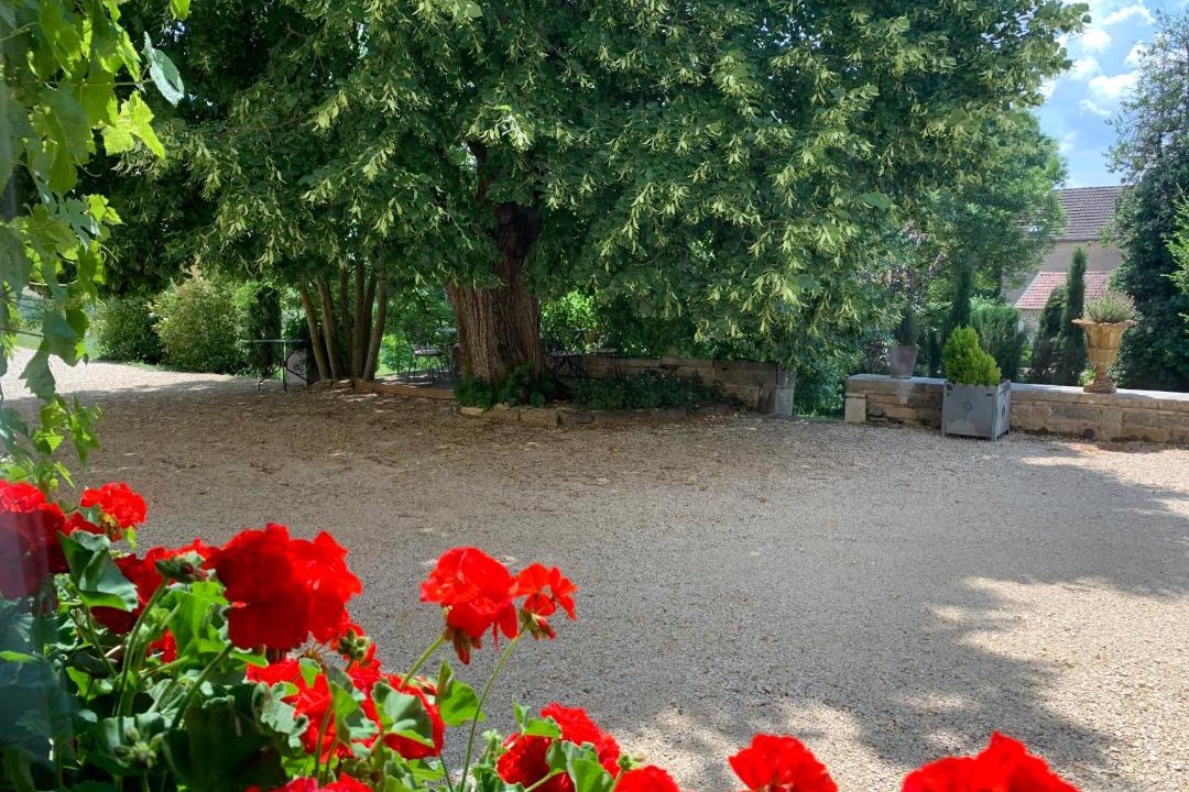 Photo of Others in Mavilly-Mandelot