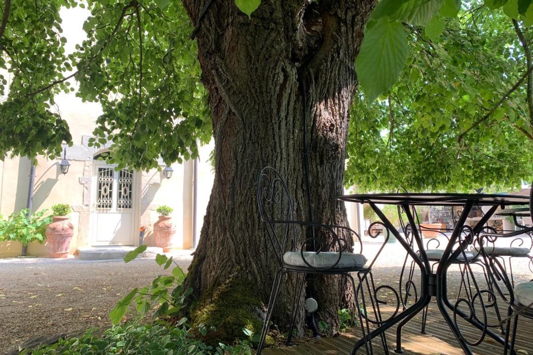 Photo of Others in Mavilly-Mandelot