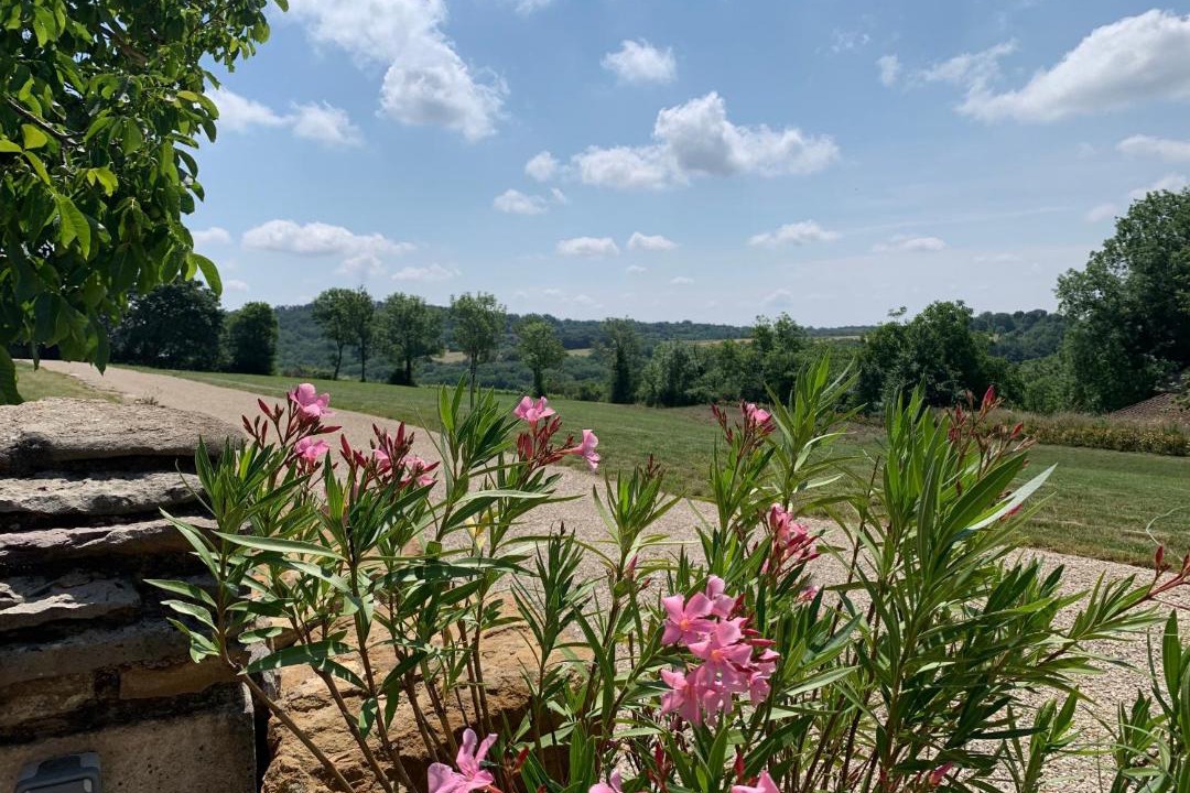 Photo of Others in Mavilly-Mandelot