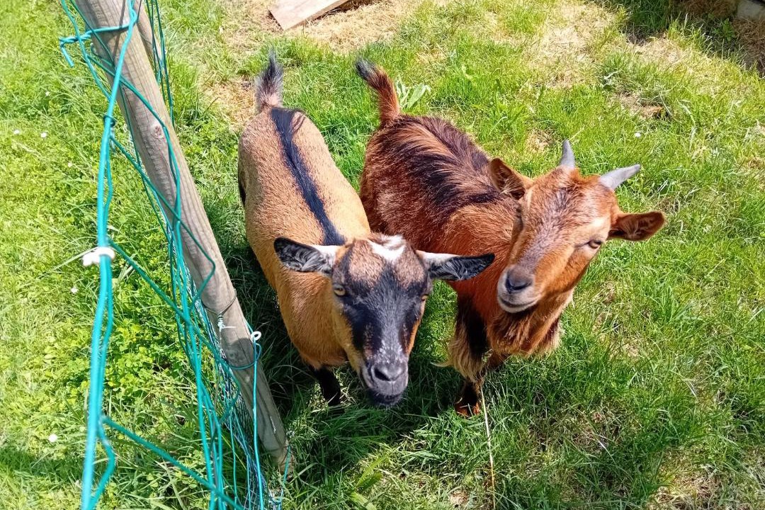 Photo of Others in Galan