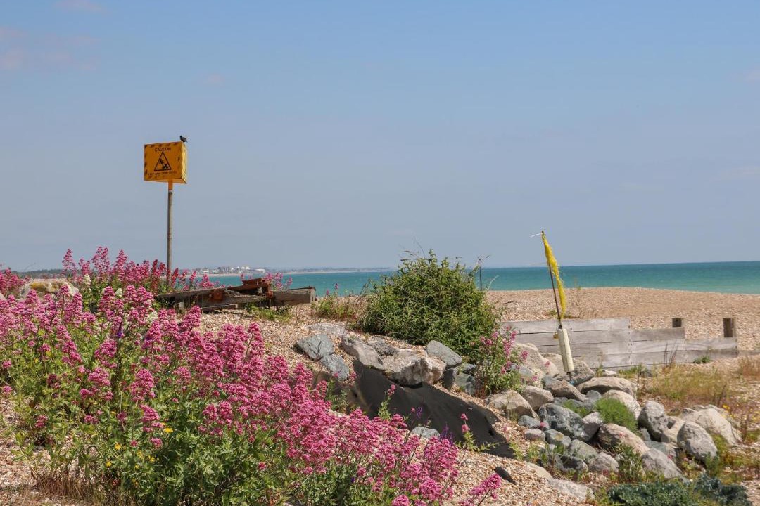 Photo of Outdoor in Pagham