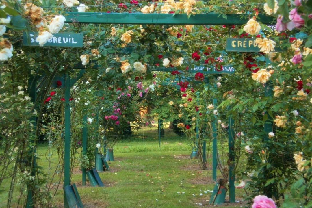 Photo of Outdoor in Mareuil-Sur-Lay-Dissais