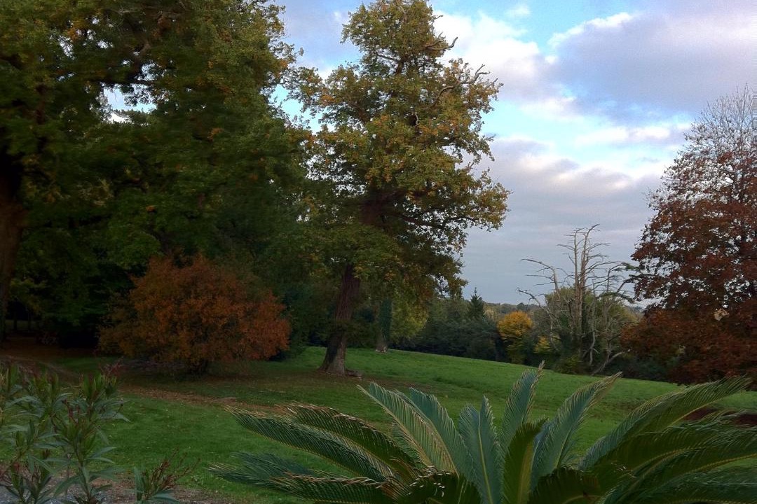 Photo of Others in Mareuil-Sur-Lay-Dissais