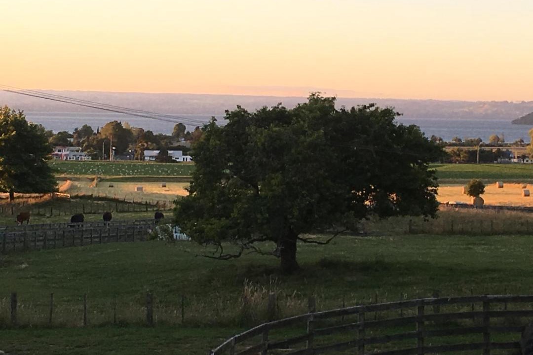 Photo of Others in Owhata