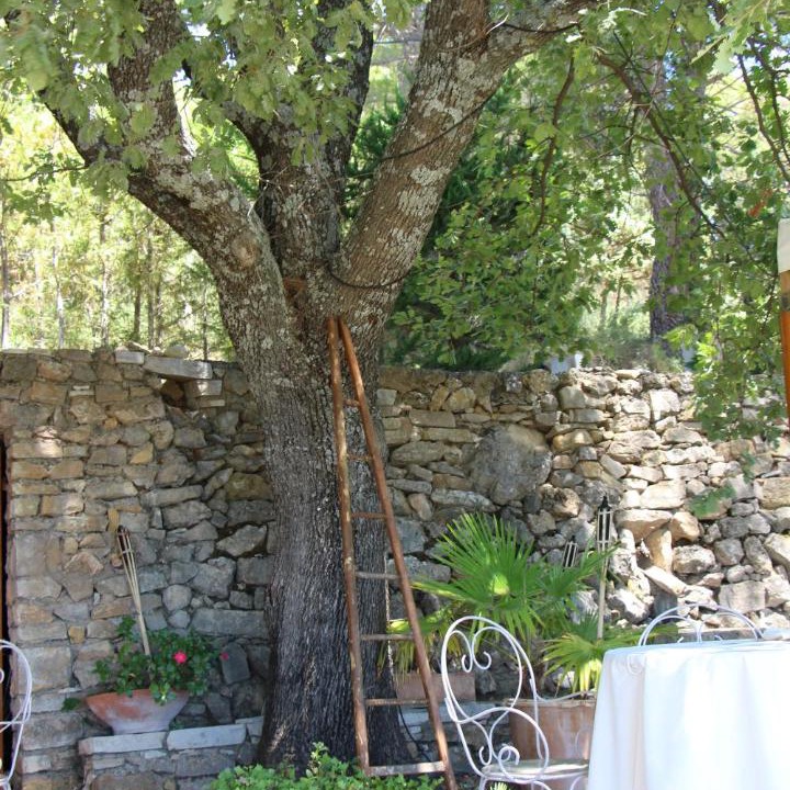 Photo of Others in Tourtour