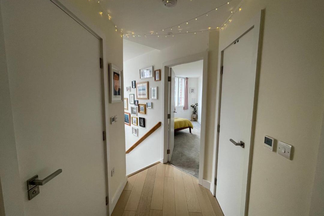 Photo of Others in The Lane