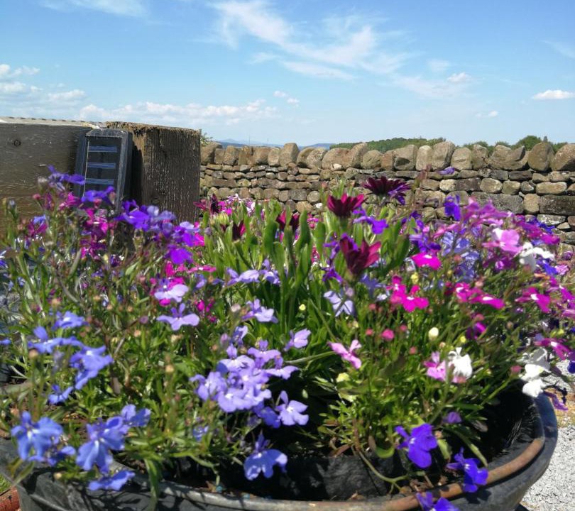 Photo of Others in Appleby-in-Westmorland