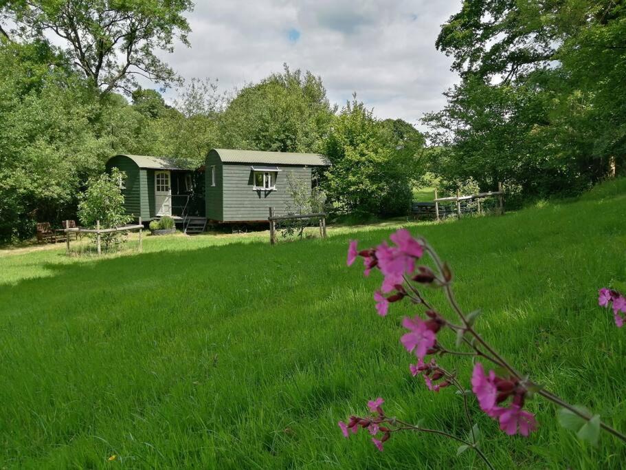 Photo of Buildings in Trusham