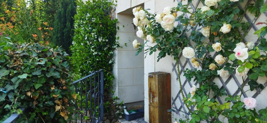 Photo of Others in Charce-Saint-Ellier-sur-Aubance