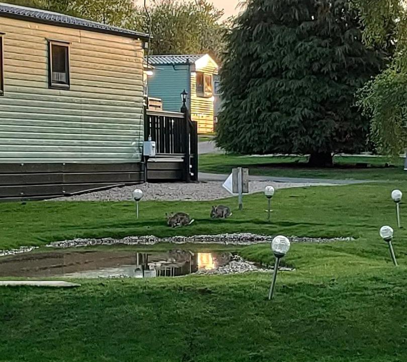 Photo of Others in Hexham