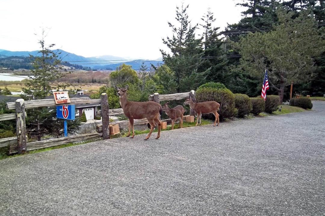 Photo of Others in Gold Beach