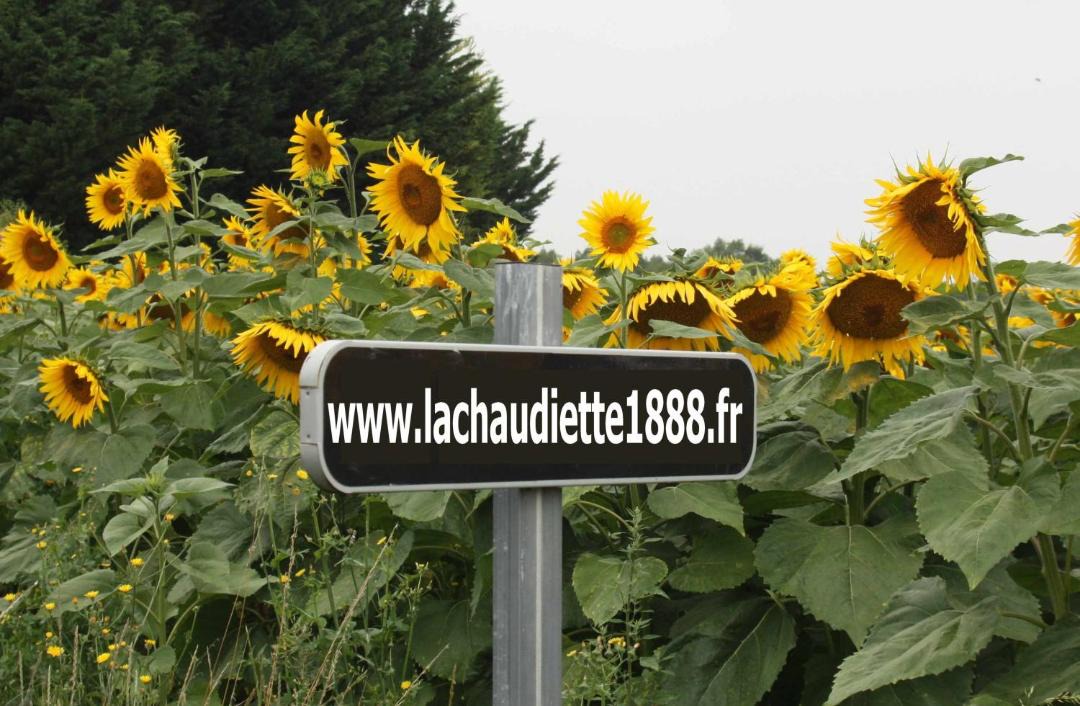 Photo of Others in Nantille