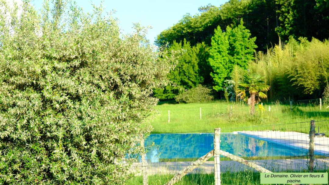 Photo of Outdoor in Larzac
