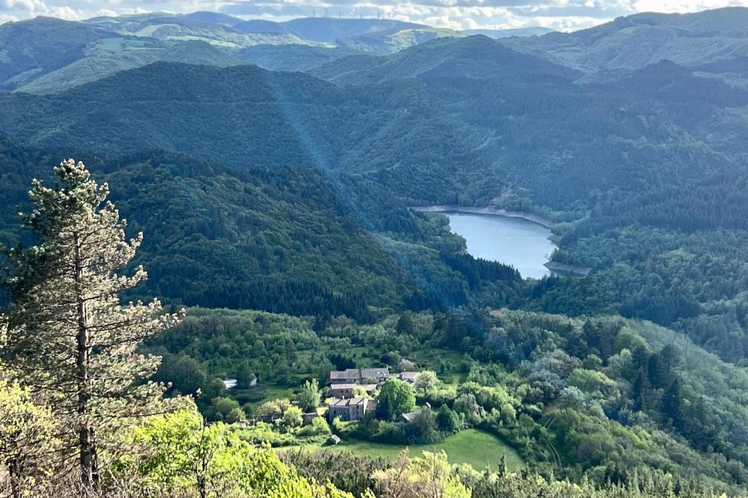 Photo of Others in Avene