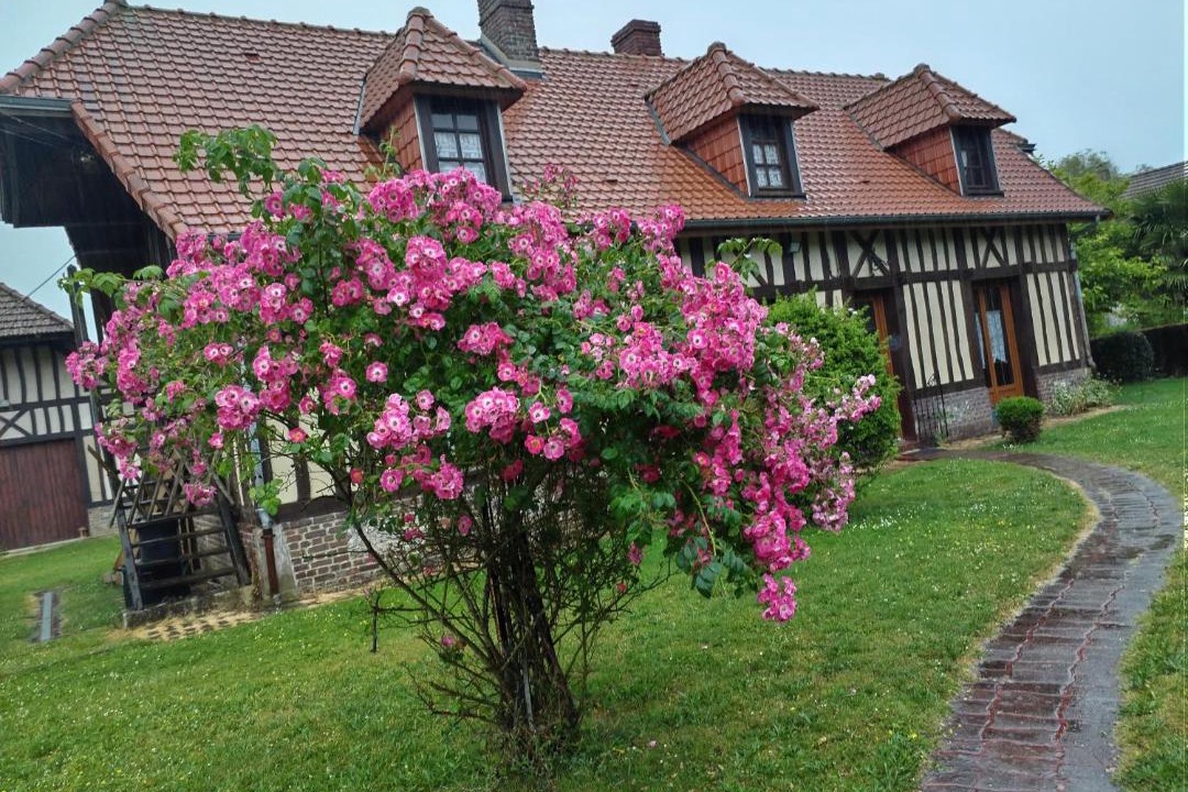 Photo of Others in Saint-Martin-le-Gaillard