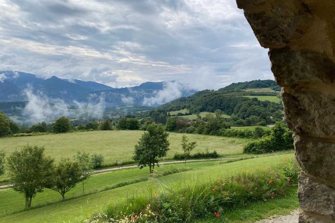 Photo of Others in Comps