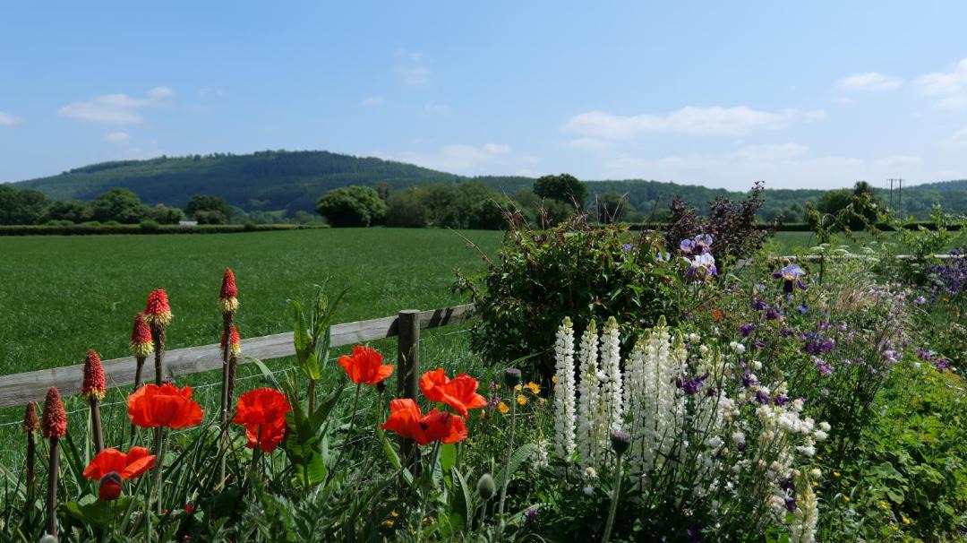 Photo of Outdoor in Presteigne