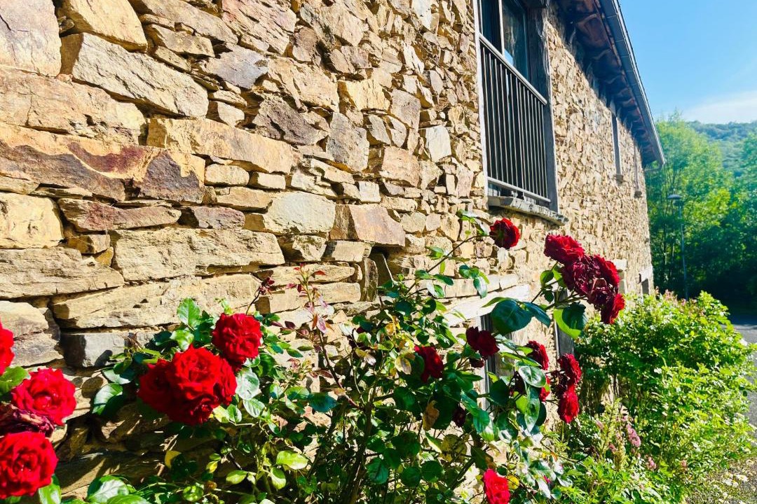 Photo of Buildings in Montezic